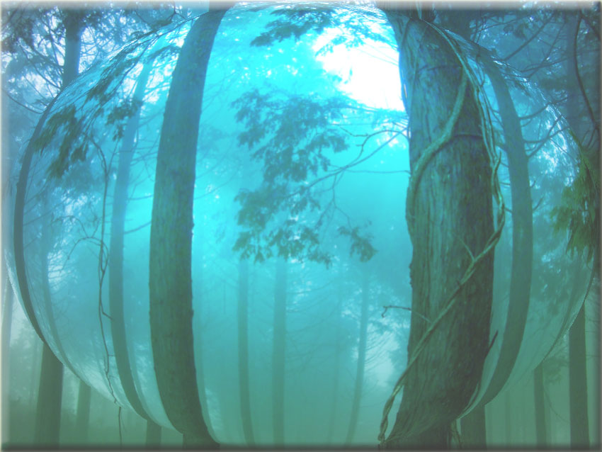 �������߂̐������������L���O